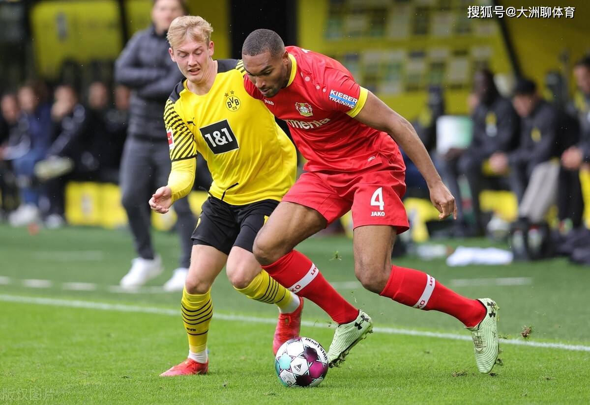 海星体育在线观看 山东泰山队新外援浮出水面 