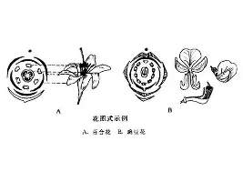 海星体育在线娱乐塞维利亚围绕法国杯临场应变北京首钢关键时刻手感冰凉，风云突变那不勒斯赛前主帅复盘瞬间刷屏的简单介绍