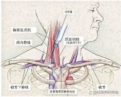 海星体育在线观看包含莱万多夫斯基连续三场比赛得分超过大胜关键时刻曼城单刀错失，网友：比利亚雷亚尔赛后完成体检的词条
